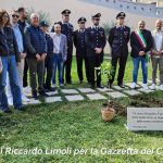 Ramacca: “L’Albero di Falcone”, la memoria che diventa futuro