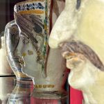 Caltagirone e Militello: “Domenica al museo”, ingresso gratuito nei siti culturali regionali